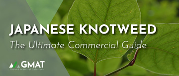 Japanese Knotweed Guide