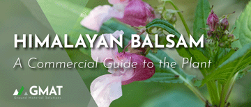 Himalayan Balsam Guide