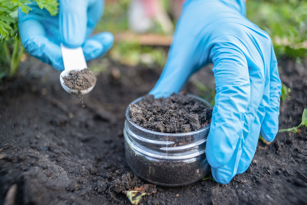 Soil samples being collected for further testing